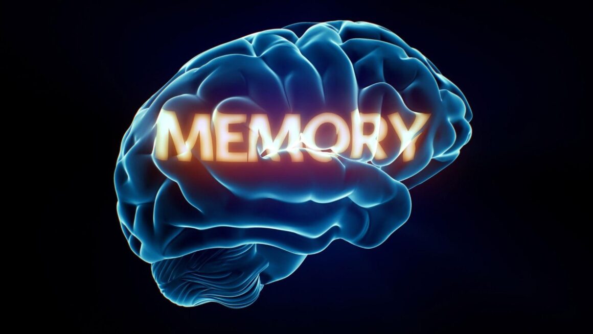 boost memory, improve cognitive function, memory enhancement tips, slow cognitive decline, brain health strategies, memory tricks, cognitive support supplements, memory training exercises, boost brainpower, brain aging prevention